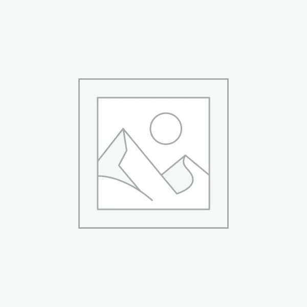 Permanent Magnet Synchronous Servo Motor 等待产品的图片